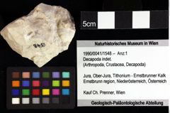 Foto (Objket + Etiketten) von Cracensigillatus acutirostris (Moericke, 1889) 